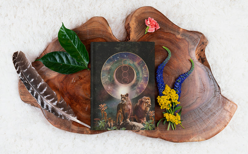 Lion Family | Hardcover Journal