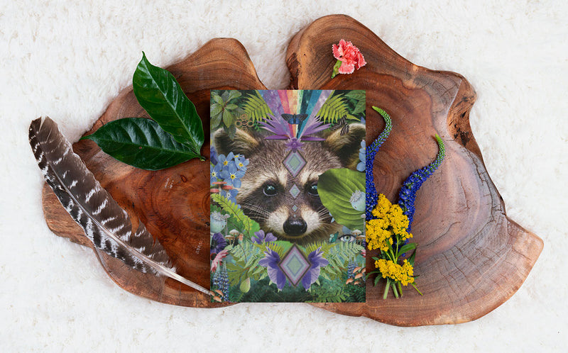 Raccoon Medicine | Hardcover Journal