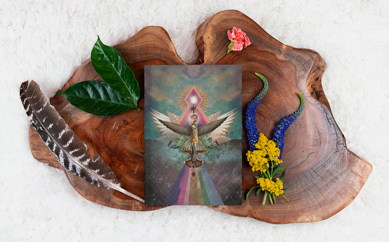 Winged Ones (Shadow) | Hardcover Journal