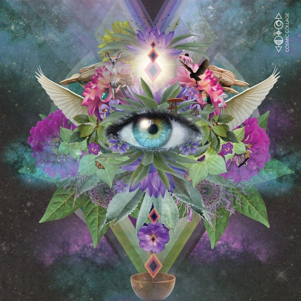 Giant blue green eye surrounded by agave planets and pink and purple flowers with birds and butterflies and fawns in a diamond pattern on a galactic background