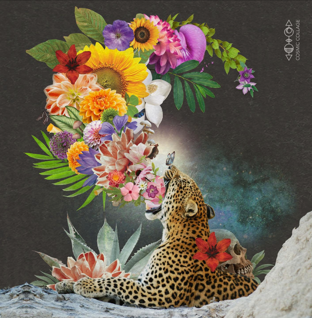 Roaring jaguar with mouth wide open with flowers of all colors spilling out with a skull and agave behind it and a blue butterfly on its nose