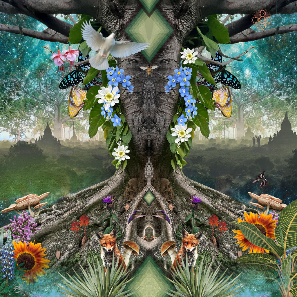 Tree Spirits and Safe Places – Cosmic Collage