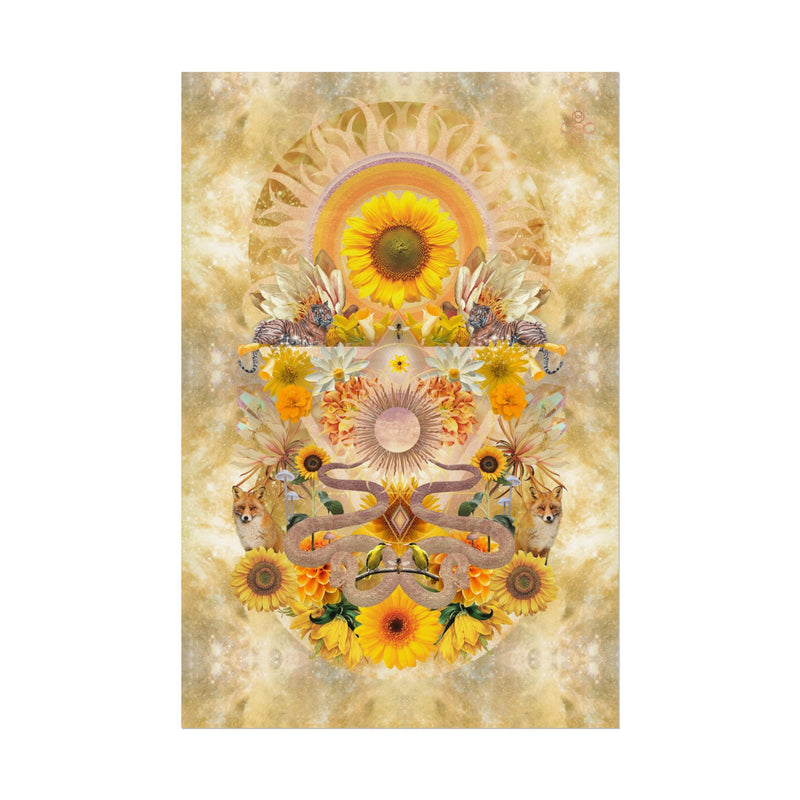 Solar Plexuc Chakra Activation