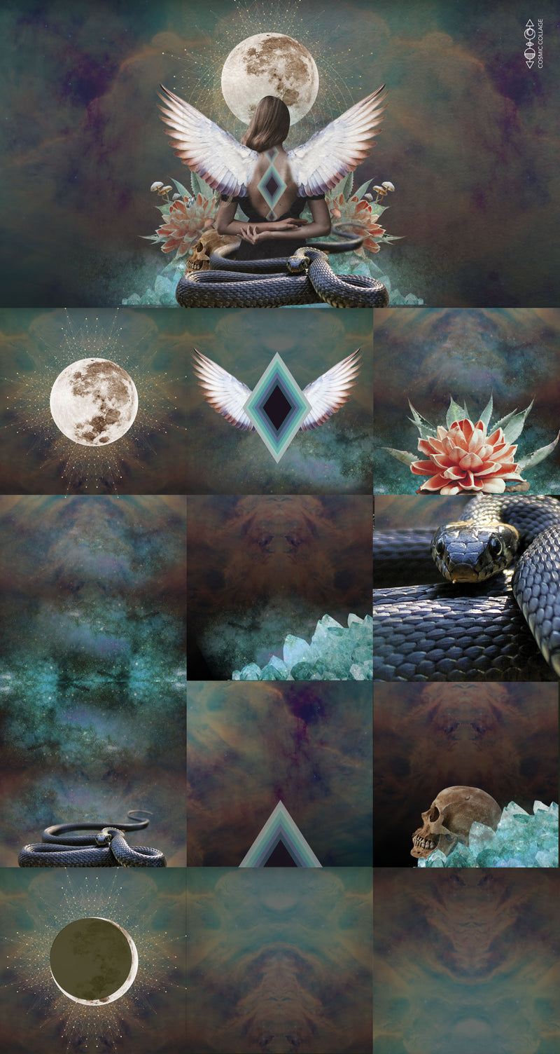 Into the Darkness  |  Promotional Package
